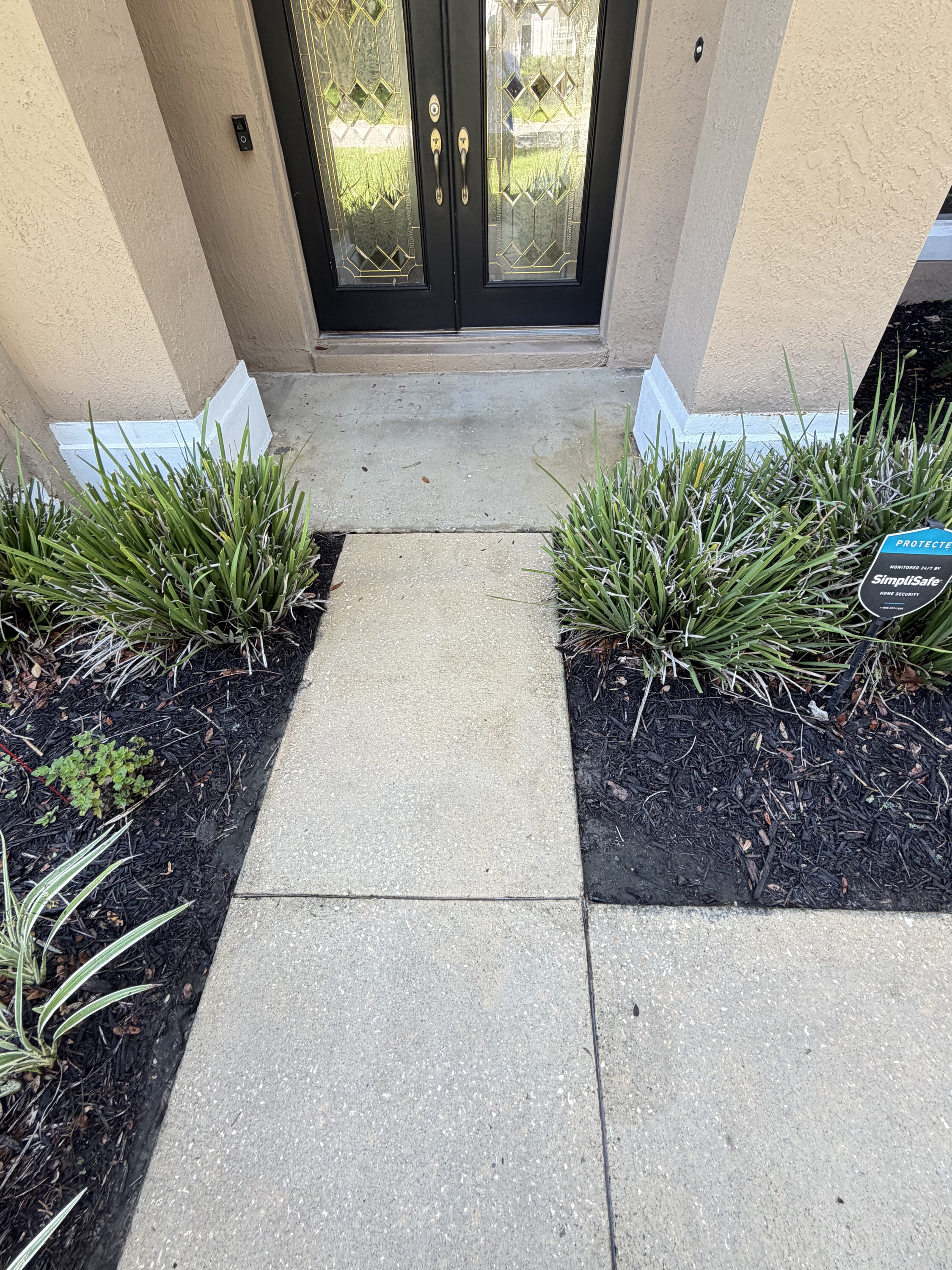 Concrete pathway to black double doors with ornamental grasses and mulch beds on either side.