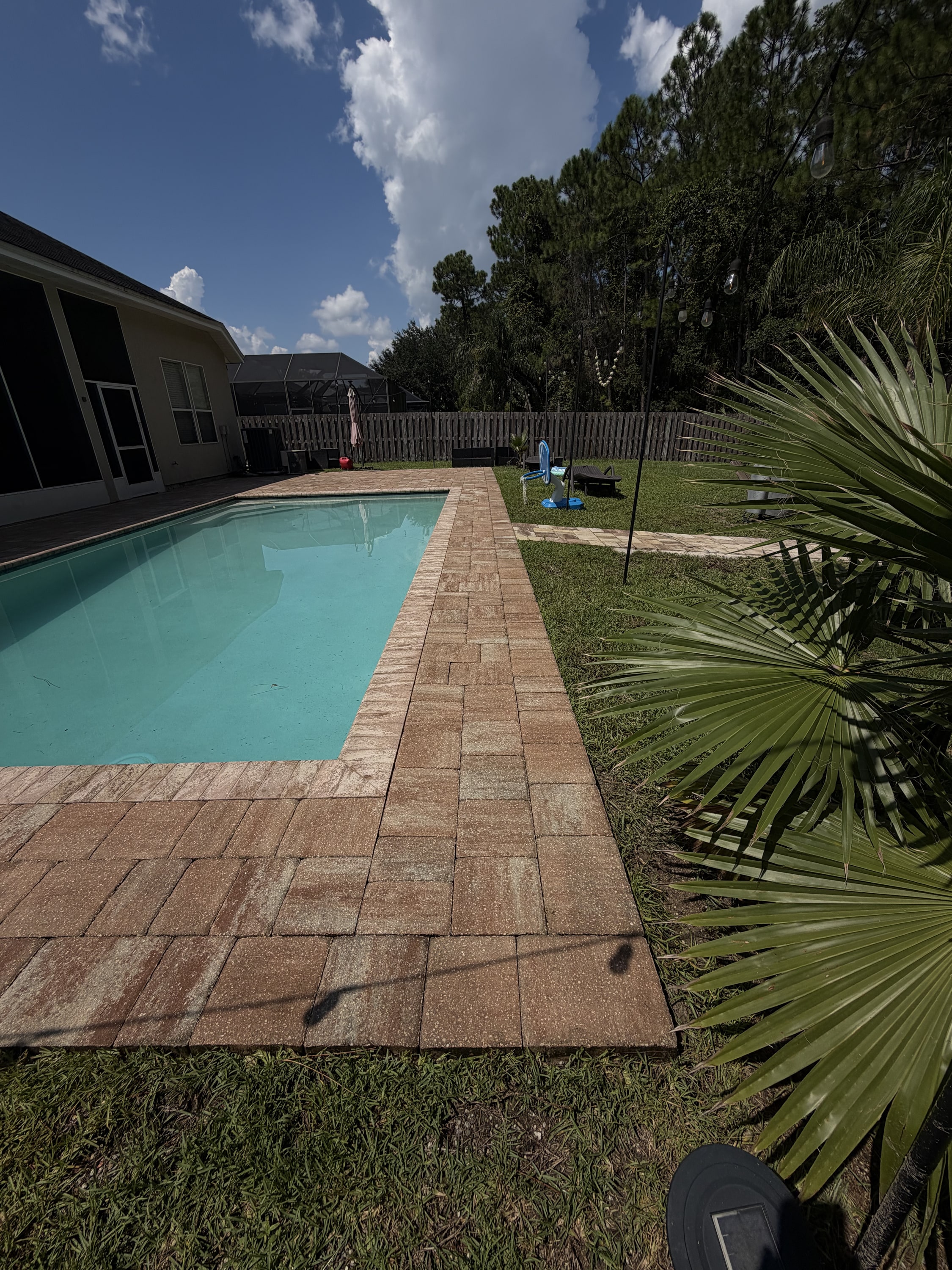 Swimming pool with brick patio, wooden fence, and landscaped garden in clear sunlight.