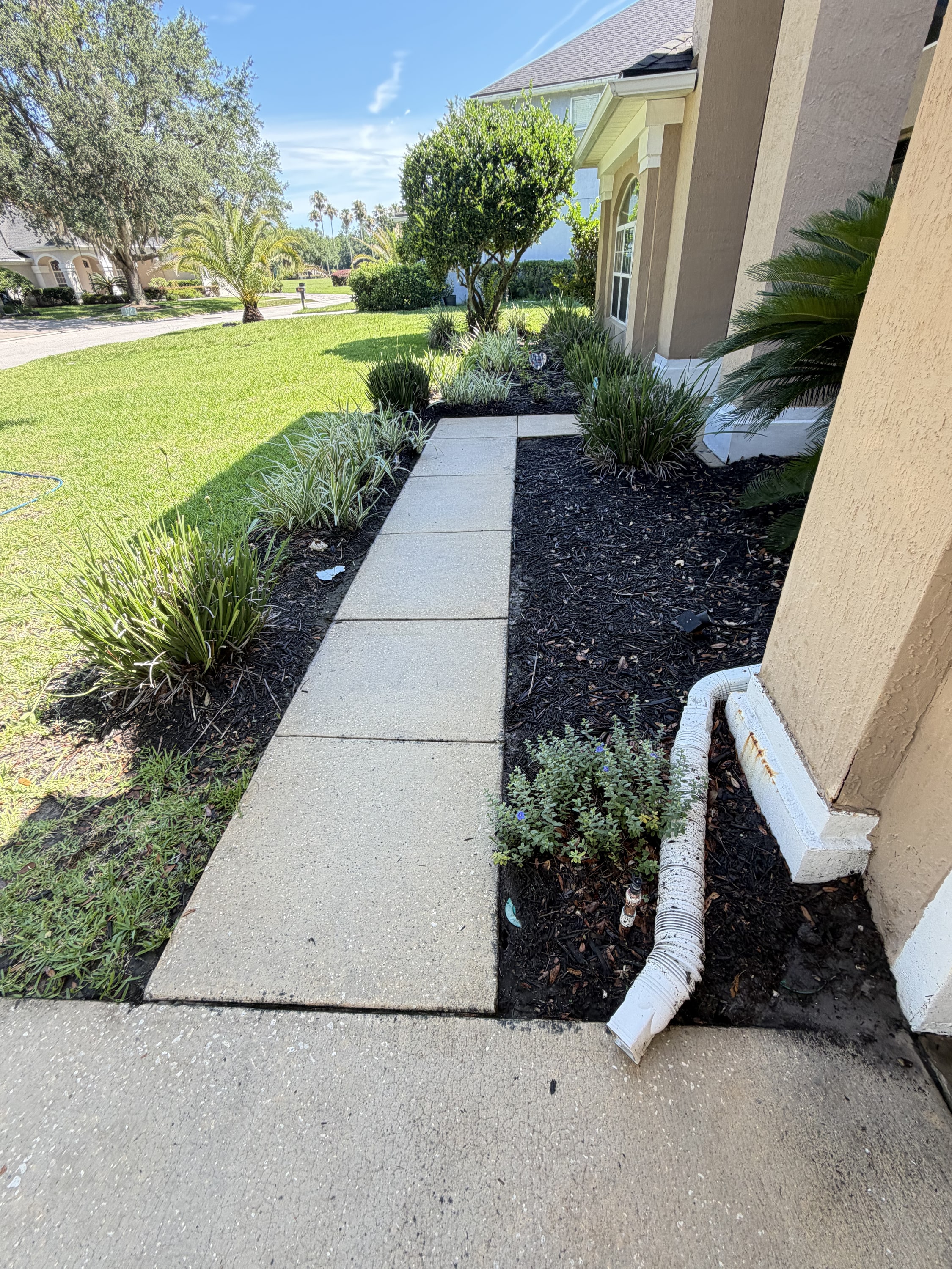 Concrete pathway with black mulch border planting and ornamental grasses beside a house